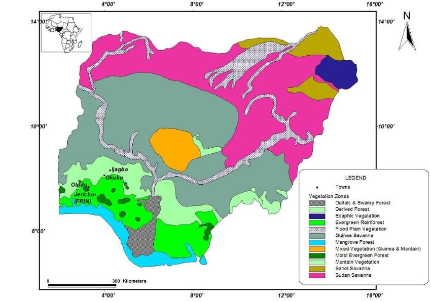 地図ナイジェリアを示す植生