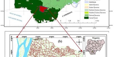 地図ナイジェリアを示す植生帯