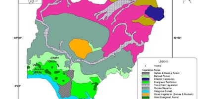 地図ナイジェリアを示す植生